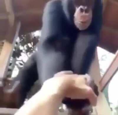 Monke help human