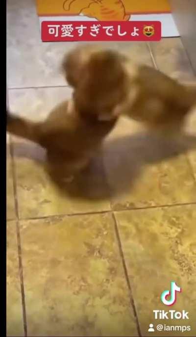 Aprendiendo de los buenos