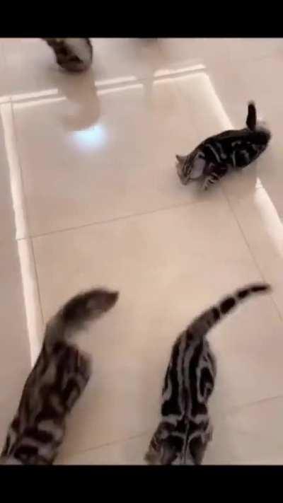 When the munchies kick in