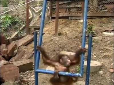 nooooo el uriel se golpio :(