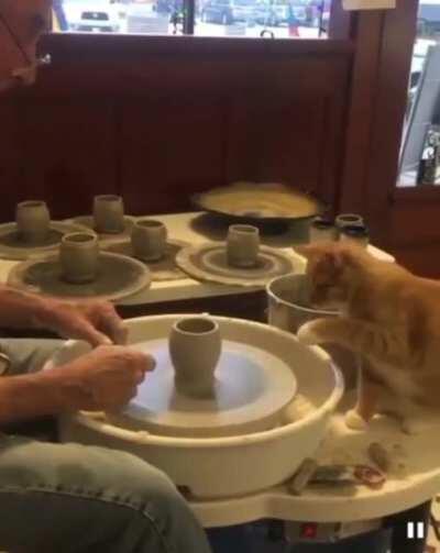 Котик (оригинальное название не смог перевести.)