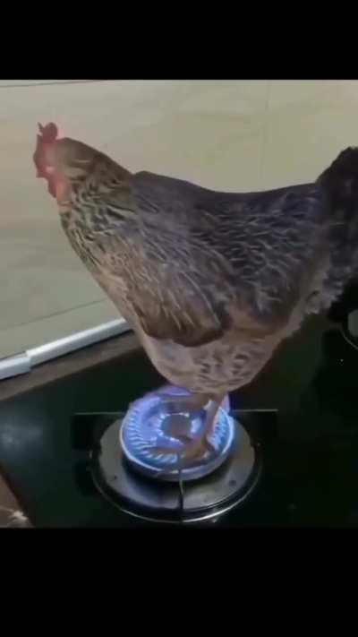 Nada mais o derrota 🔥🔥🔥