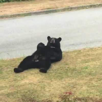 Our living room view in PoCo.