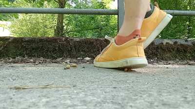 Half Final 1: Yallow Vans