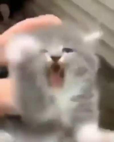 He was not happy