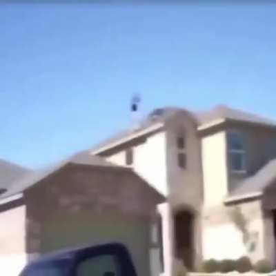 don't mind me i am just doing my job