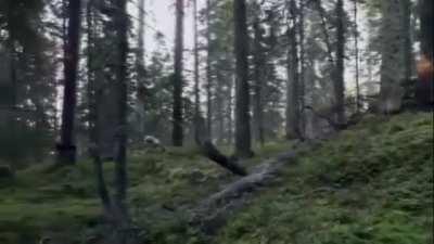 The average Finn in search of alkohol