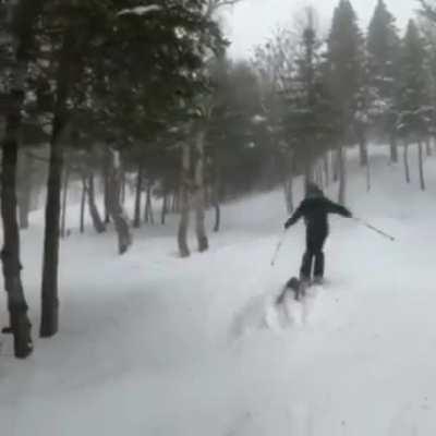 Skiing downhill and purposely not avoiding an obstacle.