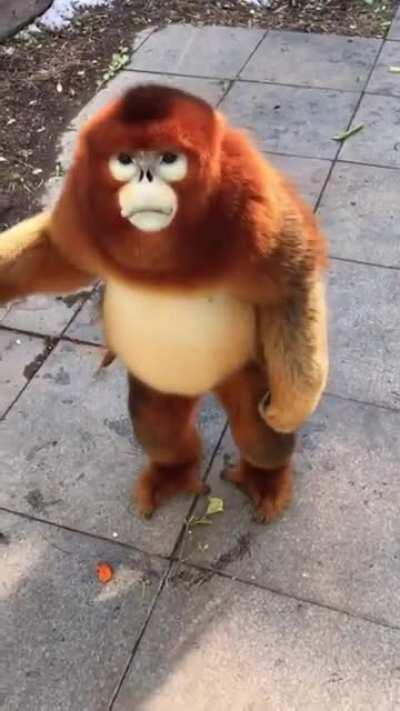 Yum ...Gimme Summa Dat