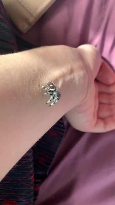 Pixie got spooked by my sister walking past 🥺