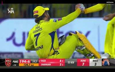 Thala with a broken hip 😓