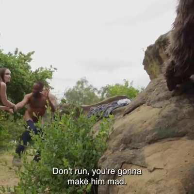 Best director of the year!