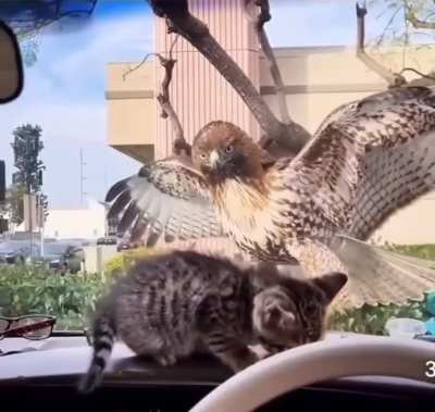 Tão perto, mas tão longe...