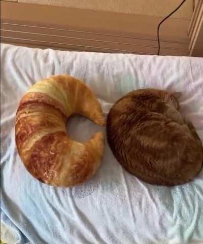 Rubric: find the difference?