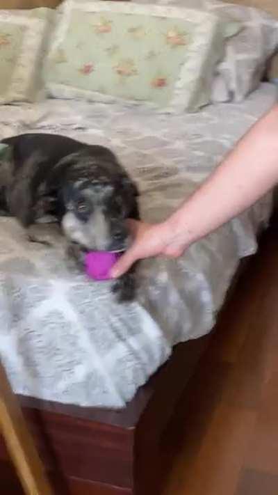 Pls, very politely, no take :((((