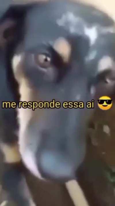 achei a resposta bem auto explicativa