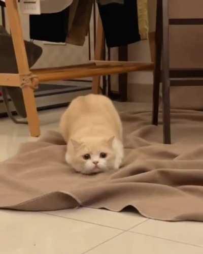 Launch sequence initiated