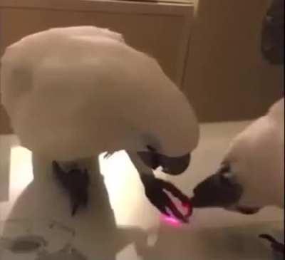 Me after watching first episode of What if