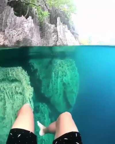 Let’s go swimming 🤩🌴🐚