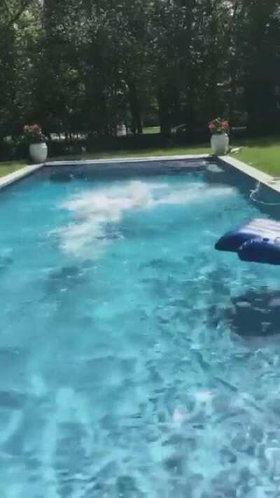 The dog thought he drowned, so he jumped to save him