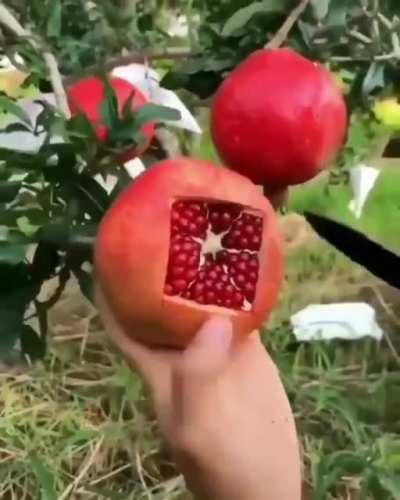 How to effectively slice a Pomegranate.