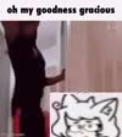 oh my goodness gracious