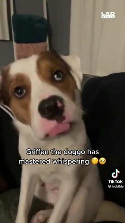 The one true dog whisperer