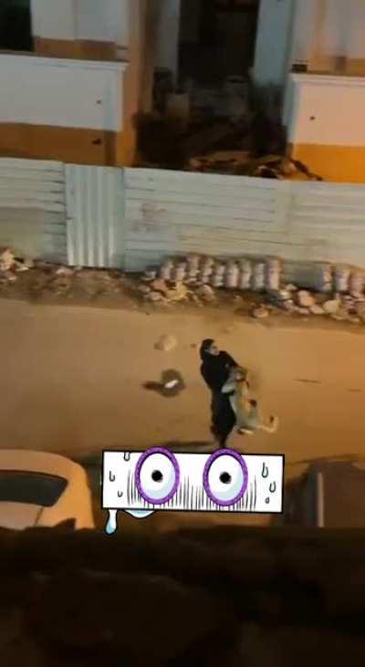 Just a cat throwing tantrums...