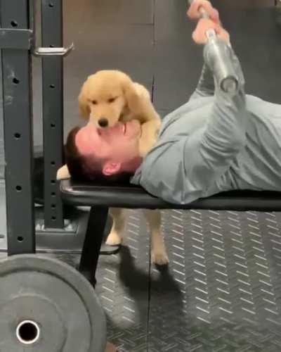 You can do it, human!