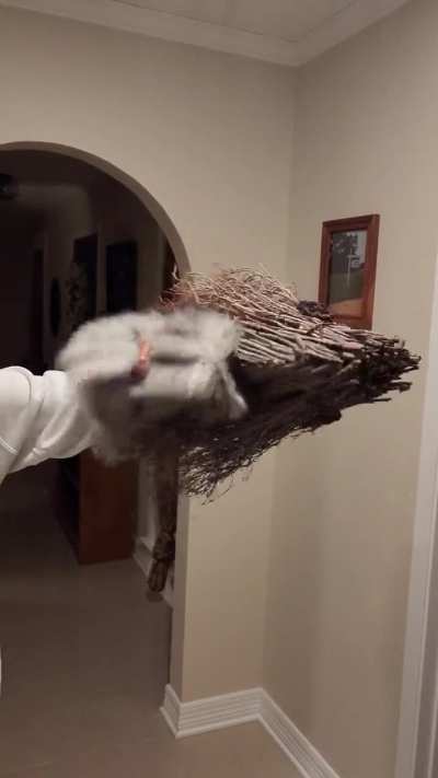 Video of my first puppet