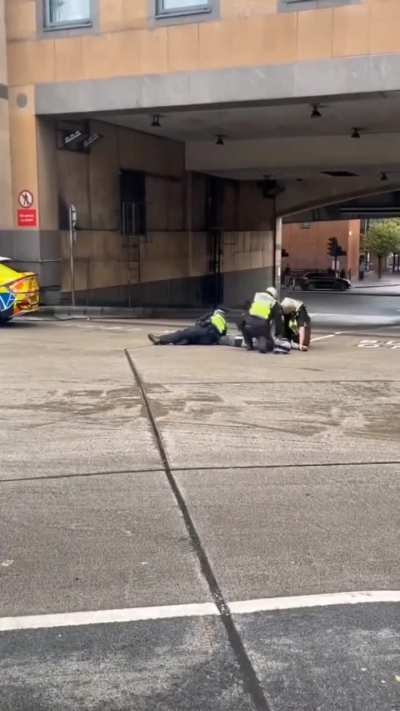Metropolitan officers arrested a thief outside Hammersmith station for stealing iPhones.