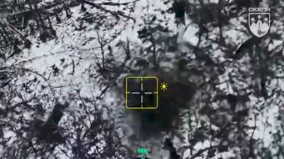 Ukrainian infantry with drone support cleared an enemy dugout on the eastern front. Published 20.02.2026. 425th Assault Regiment SKELIA.