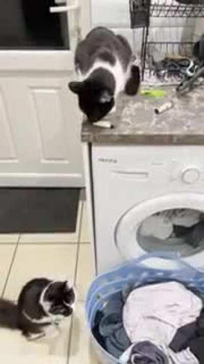 You can see him doing the math in his head