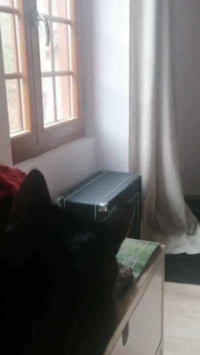 Sorry about the mess and poor video quality