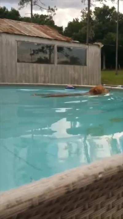 Are you supposed to be in the pool?