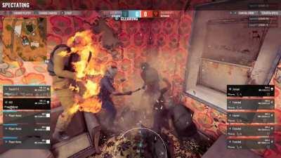 Bots finally lost their shit