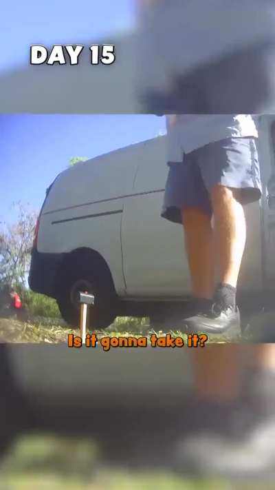 Pranking the mailman