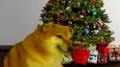 Merry Christmas to r/dogelore!