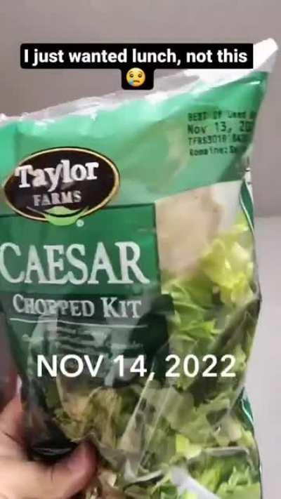 Though his body had expired, his soul lived on.