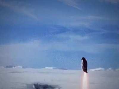 Arctic surveillance drones are a tad bit aggressive.