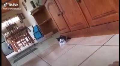 There’s always a bigger fish.