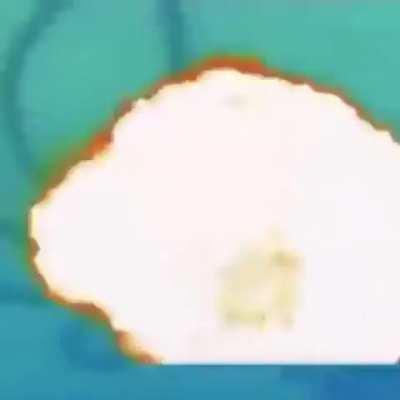 SpongeBob has died of death