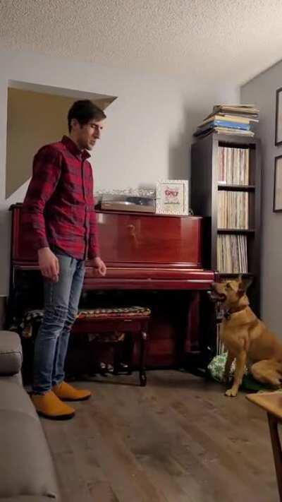 It's still hit and miss, but pretty good considering we just started this trick today!