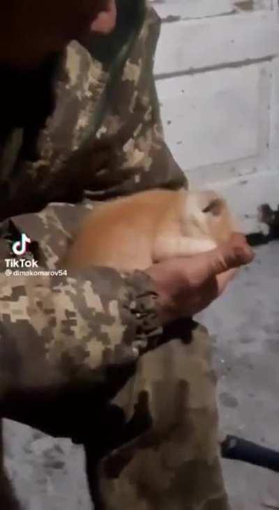 The symbolism of this tiny kitten, seeking warmth & love in the strong yet tender palm of a weary & dirty AFU fighter is very touching