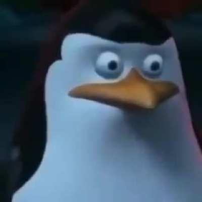 Typical gen z humor #3