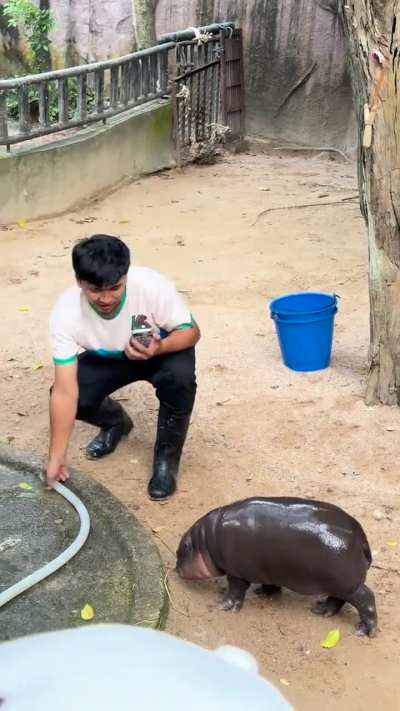 Rawr 🦛 👹 so cute 🥰 