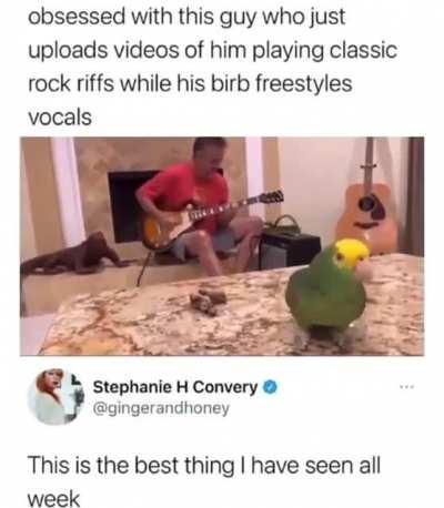 this cute little birb