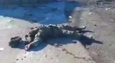 the first invaders are already in hell