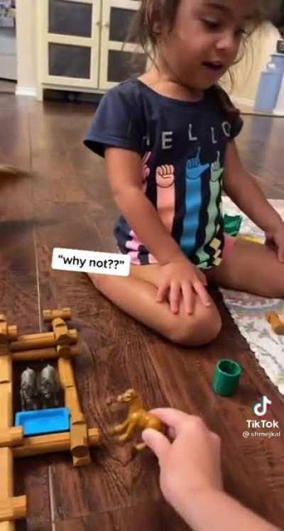 Mom‘s caption „Martin Luther King didn’t die for horse segregation to still be a thing“