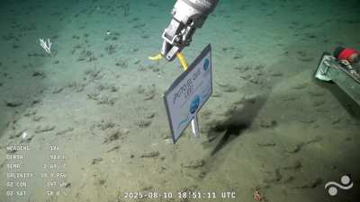 Argentina se esta garchando a todos